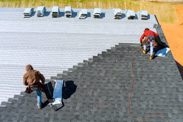 Best Shingle Roofing Installation  in La Joya, TX