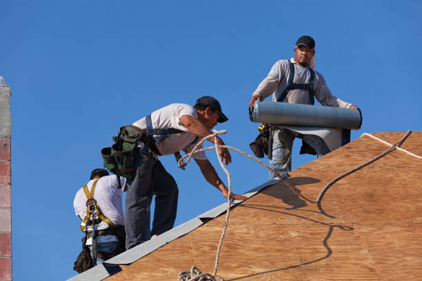 Best Local Roofing Companies  in La Joya, TX