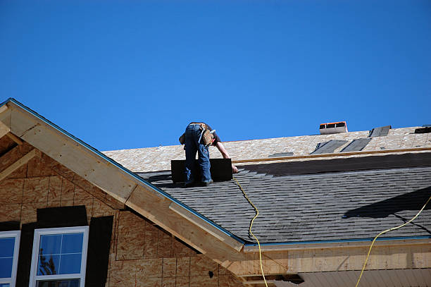 Best Storm Damage Roof Repair  in La Joya, TX
