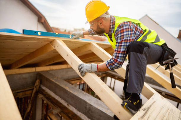 Best Sealant for Roof  in La Joya, TX
