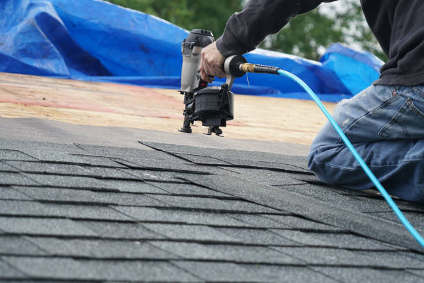 Best Slate Roofing Contractor  in La Joya, TX