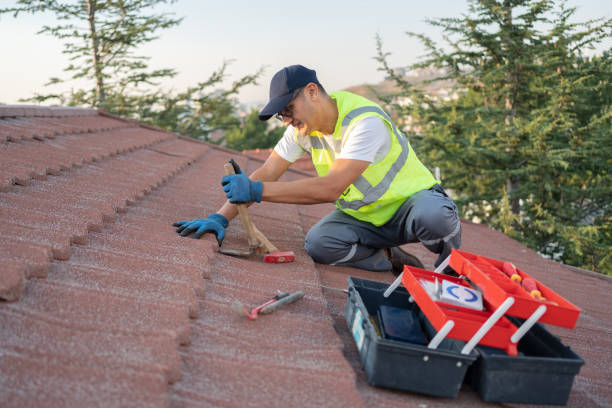 Best Commercial Roofing Services  in La Joya, TX